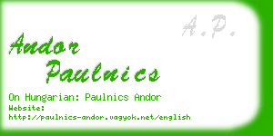 andor paulnics business card